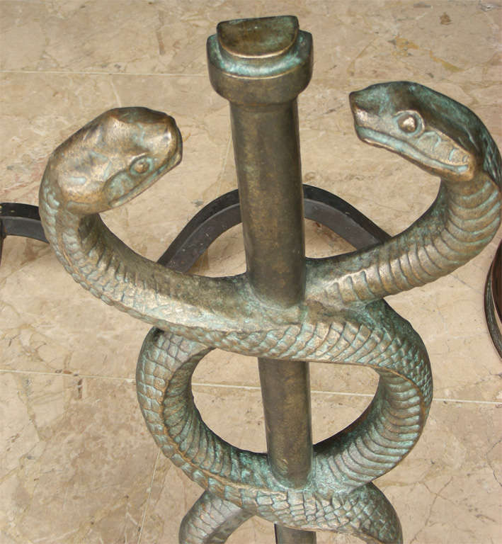Mid-20th Century Two 1930s Bronze Andirons Decorated with Snakes
