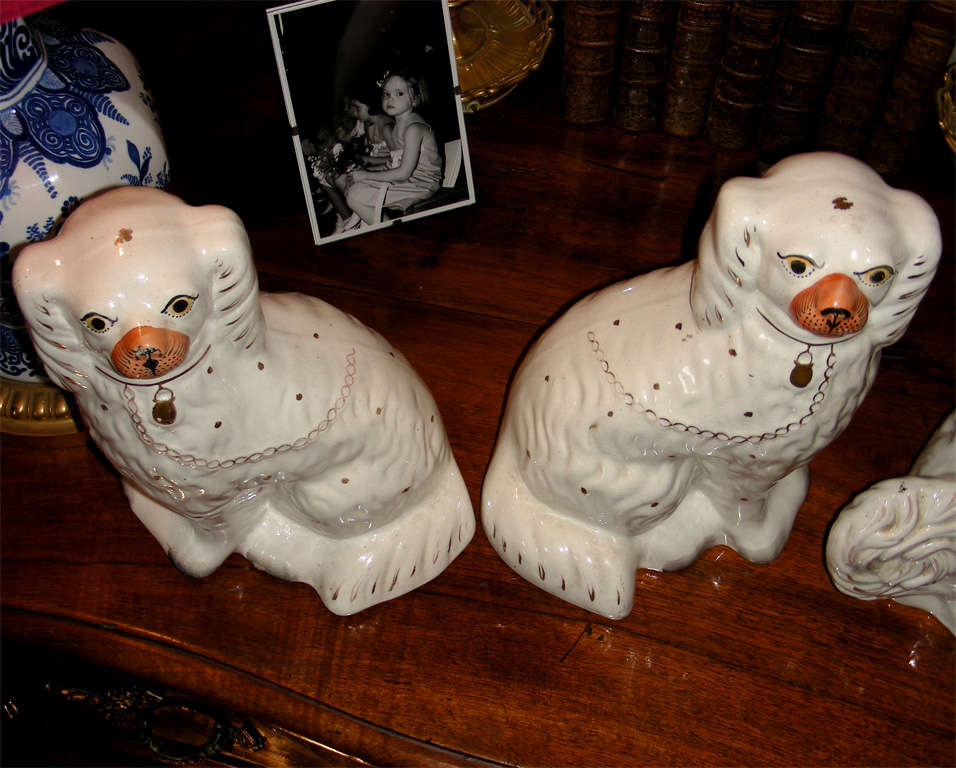 Four 19th Century Staffordshire Pottery Dogs For Sale 1