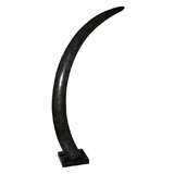 An Elephant Tusk by Pierre Giraudon from the Artist Atelier