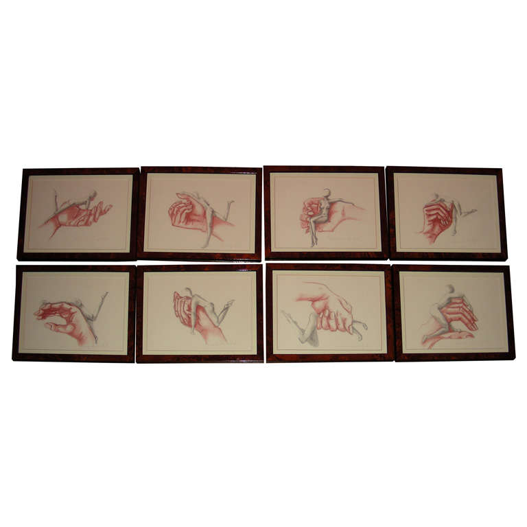 Eight Drawn Studies by Frédérique Lombard Morel For Sale