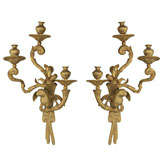 Pair of French Bronze 3 Light Sconces with Parrots Perched