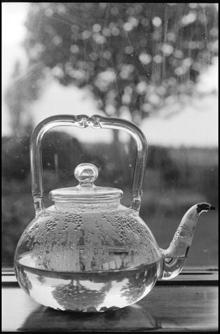 Linda McCartney Black and White Photograph - Glass Teapot, Sussex, 1996