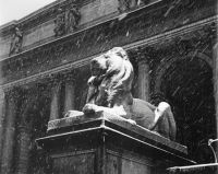 New York Public Library