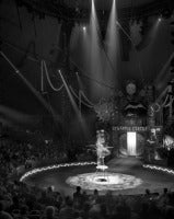 Contortionist, Big Apple Circus, New York