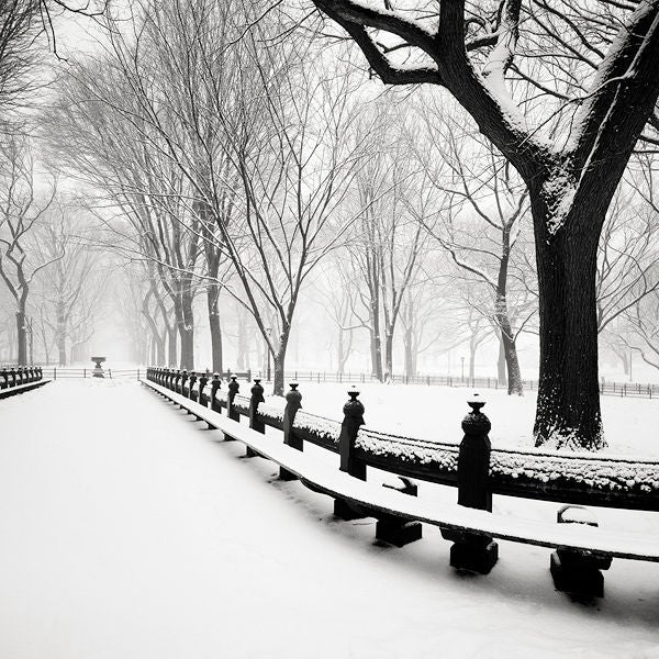 Snow Capped Central Park, Study 3, New York, USA - Photograph by Josef Hoflehner