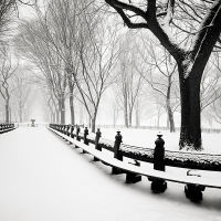 Snow Capped Central Park, Study 3, New York, USA
