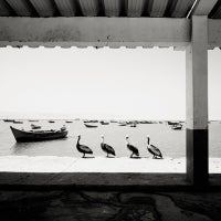 Josef Hoflehner - Pelican Bay-Peru Pelican Bay-Peru