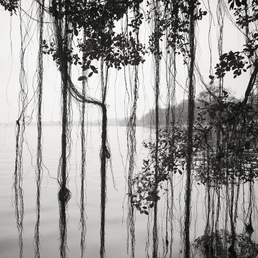 Ho Tay-Vietnam - Photograph by Josef Hoflehner