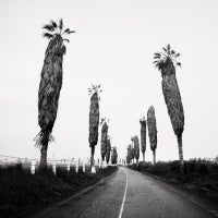 Josef Hoflehner - Lima Parkway- Peru Lima Parkway- Peru