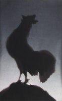 Rooster