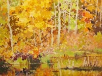 Clear Lake Road, Miners Bay