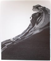 Cricket (The Black Wave)