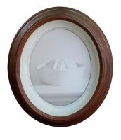 Sailor 7