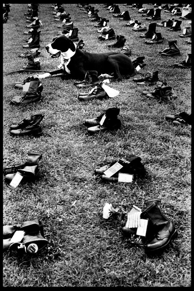 Ted Adams Black and White Photograph - Dog Shoes