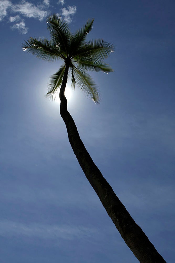 Landscape Photograph Barbara Gentile - Abat-jour du Costa Rica 2011