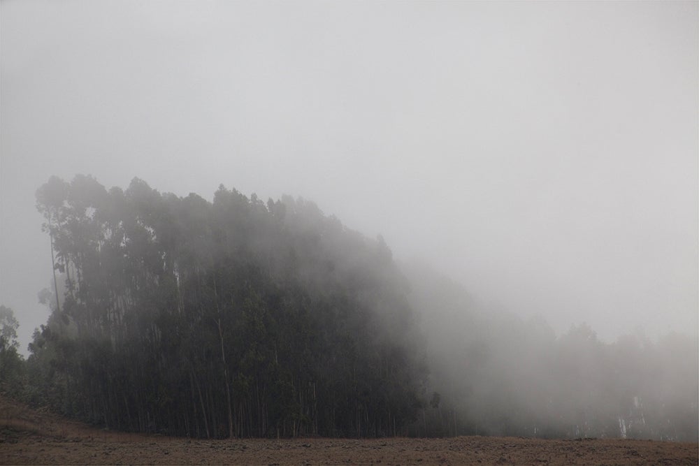 Haik Kocharian Landscape Photograph - Forgive me, Ethiopia