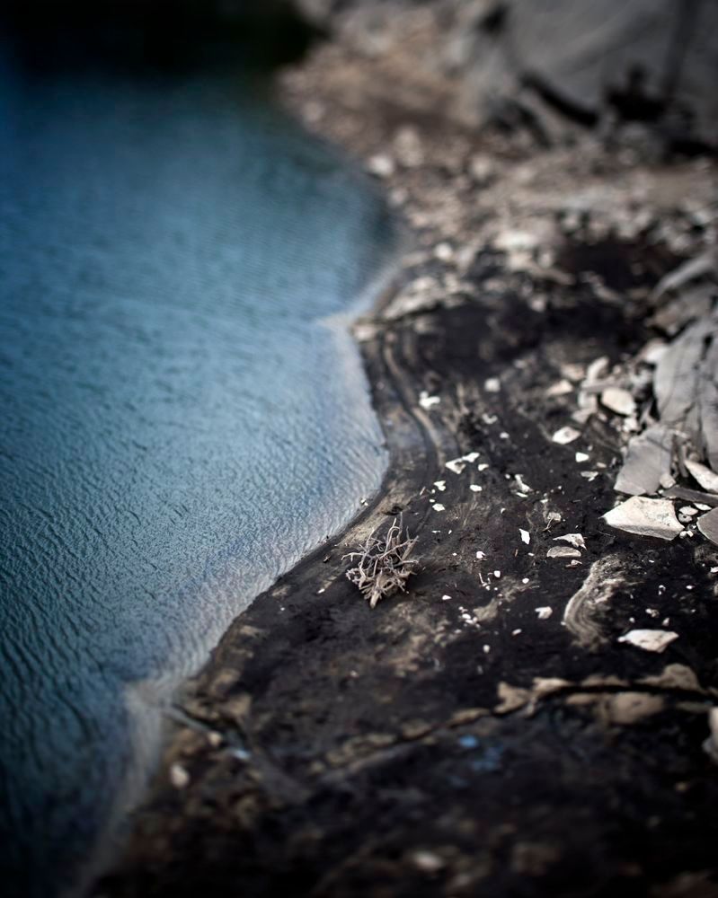 Color Photograph de Lance Clayton - Palos