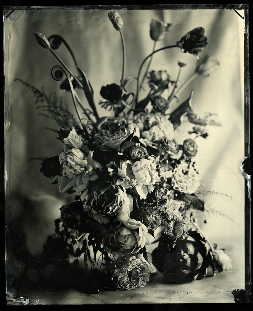 Nature morte - Nature morte - Photograph de Mark & Kristen Sink