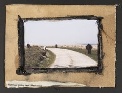 "Grazing Ponies Near Sherberton", Dartmoor, UK, 2011