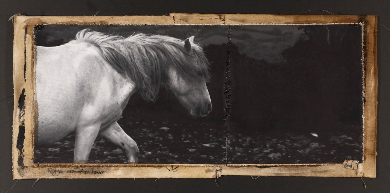 Black and White Photograph Patricia Heal - Dartmoor, Royaume-Uni