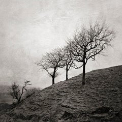 „Cobden Edge“, Mellor, Cheshire, UK, 2008