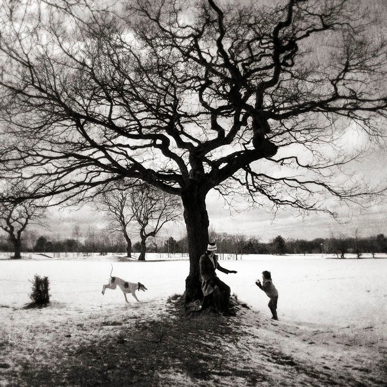 Pete Kelly Black and White Photograph - "Snowy Oak", Marple, Cheshire, UK, 2008