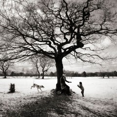 "Snowy Oak", Marple, Cheshire, Royaume-Uni, 2008