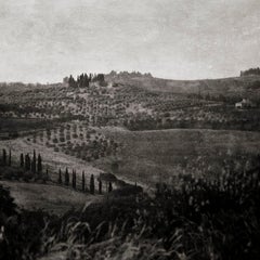 "Tuscan Landscape", Bacio, Tuscany, 2006