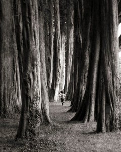 „Tree-Läufer“, Plas Newydd, Wales, 2009