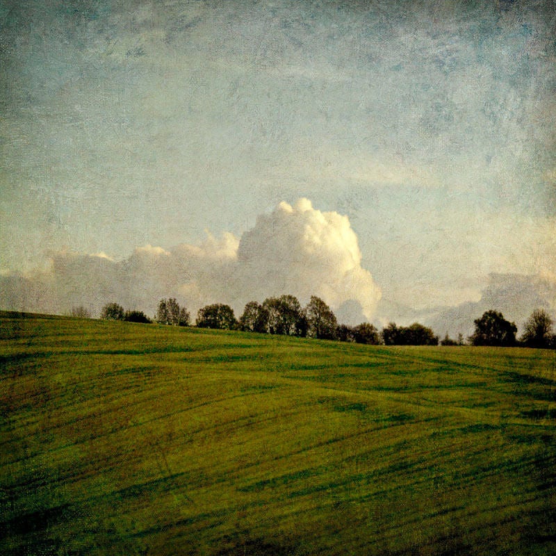 Pete Kelly Landscape Photograph – „Cloudy Grass – Außerhalb von London“, 2003