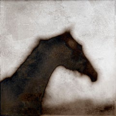 Vintage "Horse Head Blur", 1997,  Kansas City 