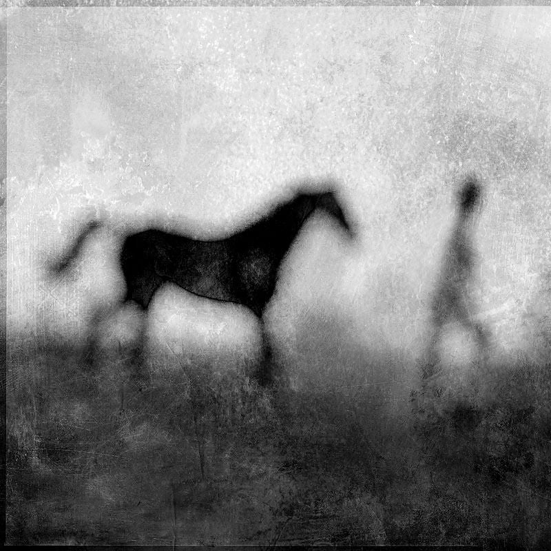Figurative Photograph Pete Kelly - « Leading Horse », Kansas City, 1997
