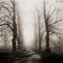 « Lyme Park », Angleterre