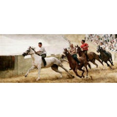 Palio 8
