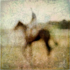 Racehorse Blur 7