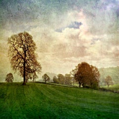 "Tractor Lines", Tarporley, Cheshire, U.K., 2005