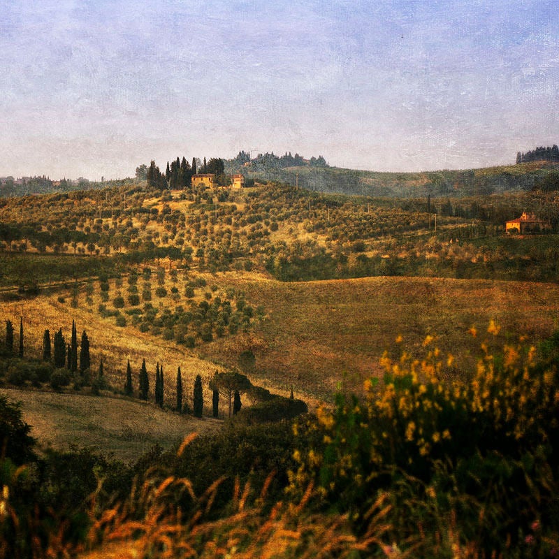 Pete Kelly Color Photograph - "Tuscan Landscape", Bacio, Tuscany, 2006