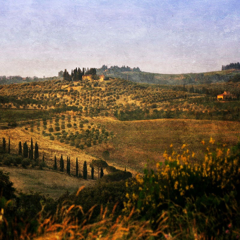 Color Photograph Pete Kelly - « Paysage toscan », Bacio, Toscane, 2006