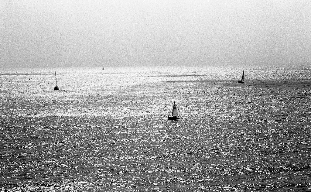 Landscape Photograph di Robin Rice - Barche a vela a Dartmouth, di fronte al Canale della Manica, Devon, Regno Unito