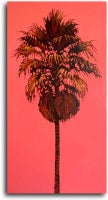 Little Pink Palm