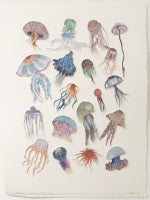 Botanica (Jellyfish)