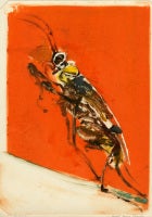 Insect III