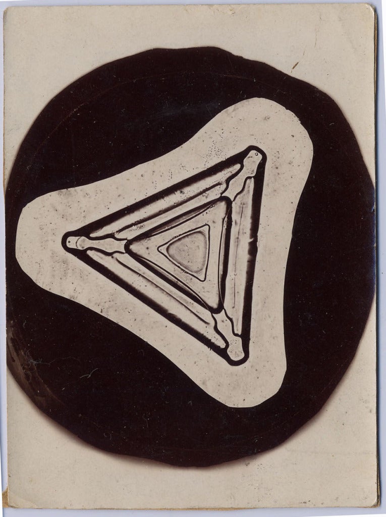 Snowflake - Photograph by Wilson A. Bentley
