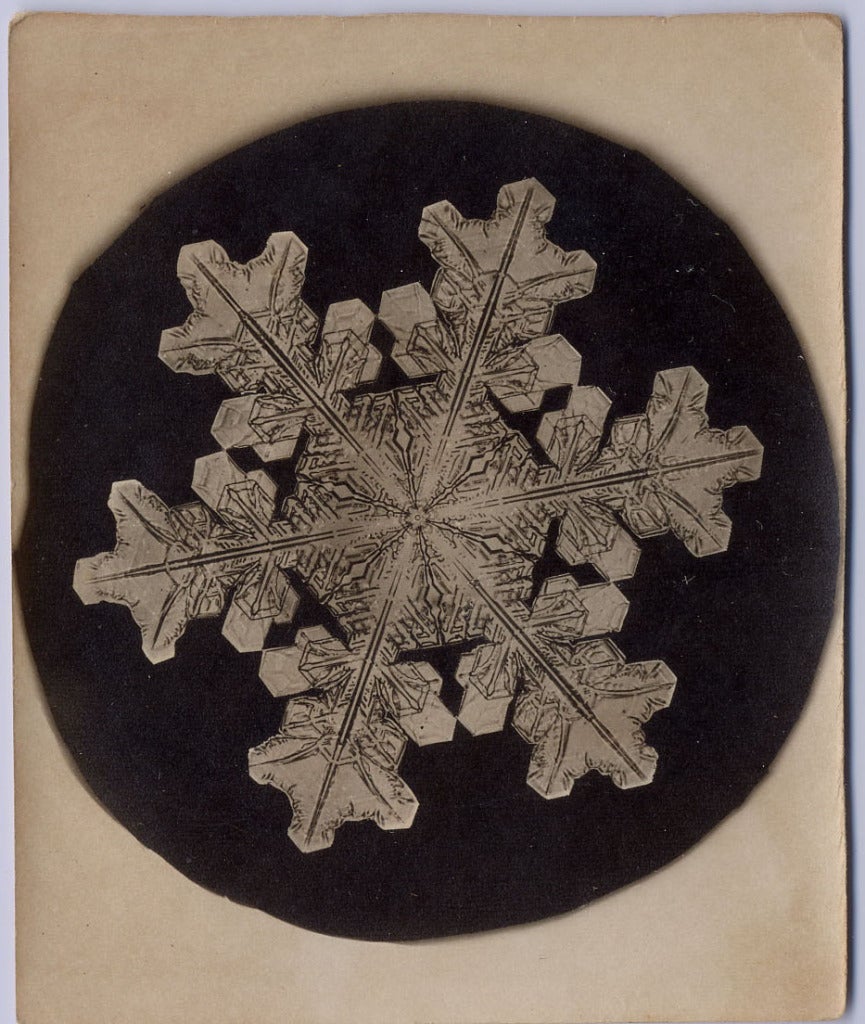 Snowflake - Photograph by Wilson A. Bentley