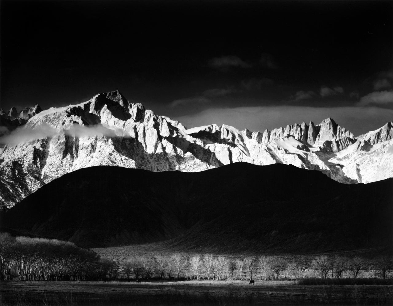 Sierra Print Artist Italiano