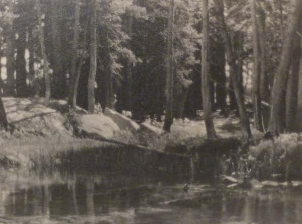 Lyell Fork Meadows