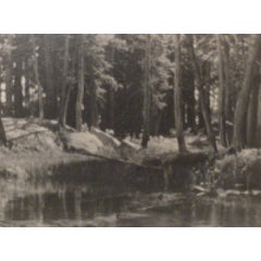 Lyell Fork Meadows 10