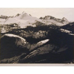 The Abode of Snow 9