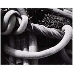 Kelp, 1930 5