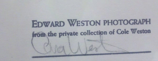 Senza segno. Timbro sul retro proveniente dalla collezione privata di Cole Weston. La Weston Gallery è di proprietà di Edward Matthews (nipote di Edward Weston) e di sua moglie Davi Weston e si occupa di fotografia artistica dal 1975! Edward Weston